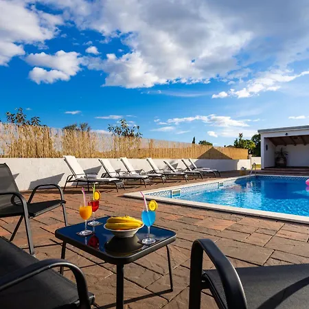 My Dalmatia - Marijana